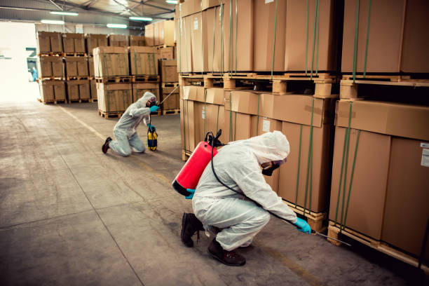 Best Local Pest Control Services  in Sun Prairie, WI