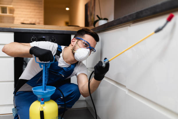 Best Affordable Pest Control Services  in Sun Prairie, WI