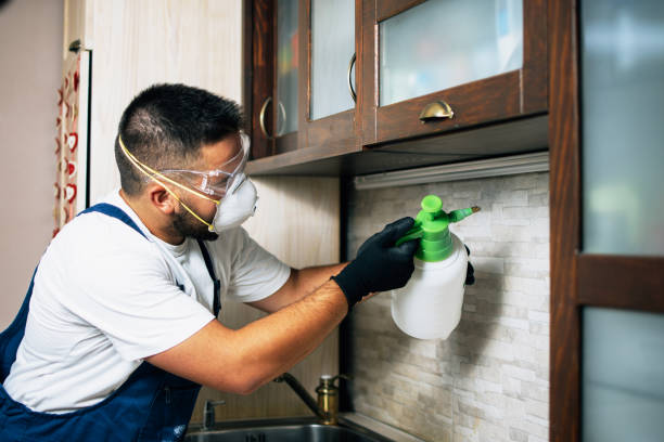 Best Residential Pest Control  in Sun Prairie, WI