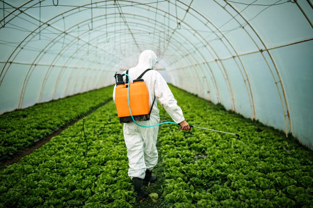 Best Commercial Pest Control Services  in Sun Prairie, WI