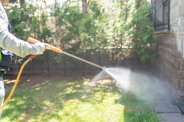 Bird Control in Sun Prairie, WI