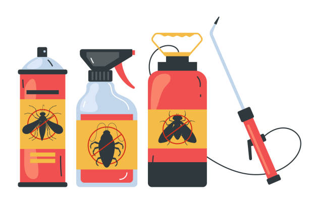 Best Spider Control Near Me  in Sun Prairie, WI
