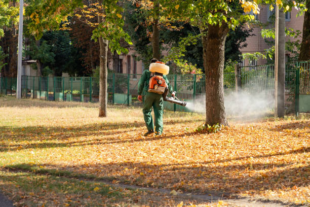 Best Affordable Pest Control Services  in Sun Prairie, WI