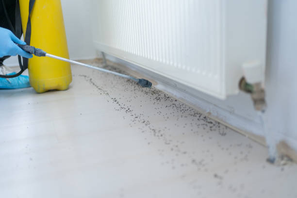 Pest Control for Restaurants in Sun Prairie, WI